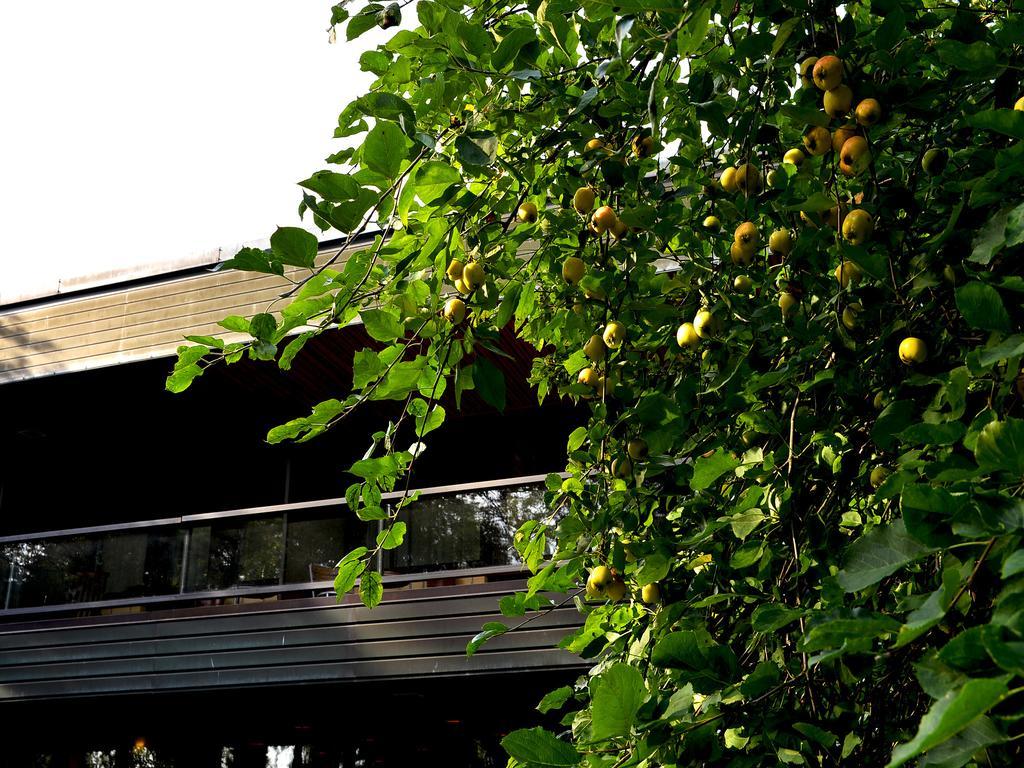 Hotel Fjalar Salo (Salo)